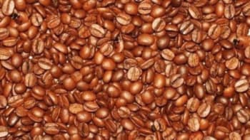 ŘEŠENÍ: Optická hádanka, kterou uhádne jen 15 % lidí! Najdete mezi zrnky kávy 6 ukrytých věcí?