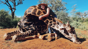 NECHUTNÉ FOTO: Lovkyně pózovala s vyříznutým srdcem žirafy. Prý to byl valentýnský dárek