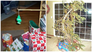 GALERIE: 10 nejhorších vánočních stromečků, které vypadají neskutečně zoufale. Pod tímhle dárky najít nechcete!