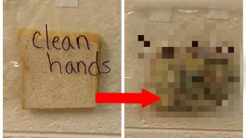 FOTO: Učitelka chtěla přesvděčit děti, aby si myly ruce. Použila k tomu tuhle šílenou metodu. Nic odpornějšího dnes neuvidíte!