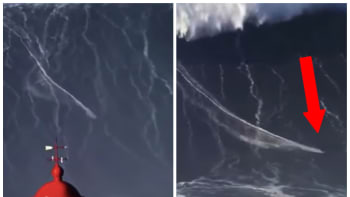 VIDEO: Surfař pokořil největší vlnu na světě a zapsal se do Guinessovy knihy rekordů! Troufli byste si na takové monstrum?
