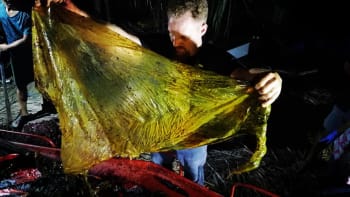 GALERIE: Lidé našli v žaludku mrtvé velryby 40 kilogramů plastů. Z těchto fotek vám bude hodně smutno