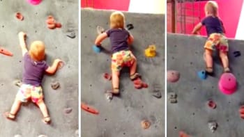 VIDEO: Rok a půl stará holčička leze bez jištění po horolezecké stěně! Na matku chtějí volat sociálku!