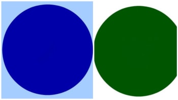 GALERIE: Optická hádanka, která zbořila internet! Poznáte, jaké obrázky se skrývají v těchto barevných kruzích?
