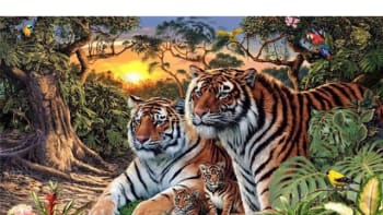 ŘEŠENÍ: Optická iluze, kterou zvládnou jen ti nejchytřejší z vás. Poznáte, kolik je na obrázku ve skutečnosti tygrů?