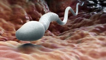 5 nejšílenějších faktů o spermii, které jste rozhodně nevěděli! Víte, k čemu se dá ještě použít?