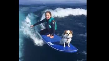 VIDEO: Surfařka má nejlepšího parťáka! Vždy jde na vlny se svým psem. Takhle se mu to líbí...
