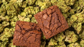 FOTO: Největší marihuanový koláček na světě je na prodej! Neuvěříte, kolik tenhle macek váží