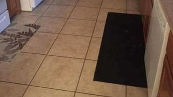 FOTO: Optická hádanka, kterou rozluští jen 11 % nejbystřejších. Najdete na fotografii kuchyně ukrytého psa?