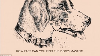 ŘEŠENÍ: Optická hádanka, z které šílí internet. Najdete v obrázku psa tvář jeho páníčka?