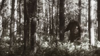 VIDEO: Tohle je prý důkaz, že Yetti opravdu existuje! Turista ho natočil uprostřed lesa