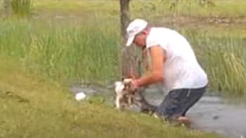 VIDEO: Muž skočil do vody poté, co krokodýl zaútočil na jeho psa! Tyhle záběry děsí internet