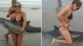 Děsivé! Pár se fotil s delfínem, který uvízl na mělčině!