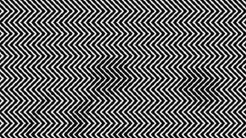 FOTO: Pouze malé procento lidí vidí v této optické iluzi ukryté zvíře. Najdete ho také?