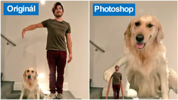 GALERIE: Slavný youtuber chtěl upravit fotku se svým psem. Vznikla z toho tahle parádní photoshopová bitva!