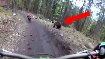 VIDEO: Sledujte děsivý moment, kdy se medvěd rozběhl za týpkem na kole!