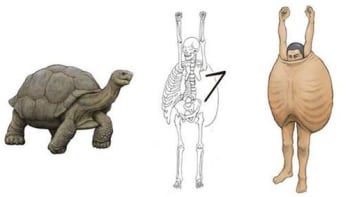 GALERIE: 12 ilustrací ukazuje, jak by vypadali lidé s těly jako zvířata. Tahle stvoření vás budou strašit ve snech