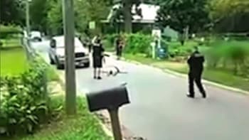 Taserem málem zabili důchodkyni. VIDEO policistů z Tallahasee šokuje svět
