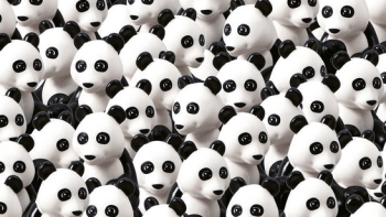 FOTO: Kde se mezi pandami skrývá štěně? Najdete ho? Je to těžší než u kreslených obrázků!