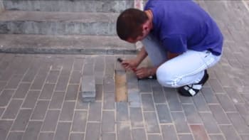 VIDEO: Uslyšel podivné zvuky pod chodníkem. Vytrhal dlažbu a byl tam živý...