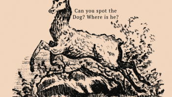 FOTO: Optická hádanka, z které šílí internet! Najdete na starém obrázku jelena schovaného psa?