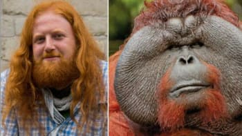 FOTO: Tohohle muže brutálně znásilnil 200 kilový orangutan! Připomínal mu totiž taky opici…