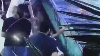 VIDEO: Žralok kousl v akváriu malou holčičku do ruky! Už jste někdy viděli něco horšího?