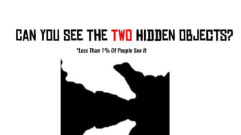 ŘEŠENÍ: Optická hádanka, kterou vyluští jen nejchytřejší lidé světa! Najdete na obrázku dva ukryté předměty?