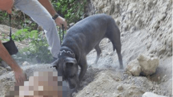FOTO: Zaživa pohřbil svého psa. Na jak dlouho může skončit v base?