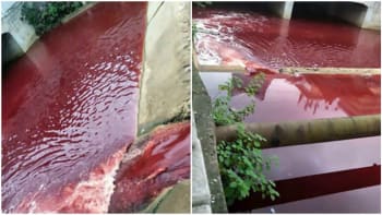 FOTO: Řeka se proměnila v rudý tok plný krve! Co se stalo?