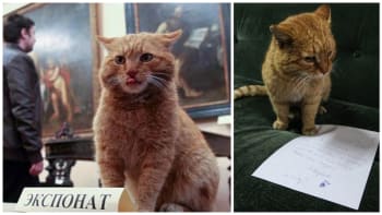GALERIE: Bizarnost roku! Kočka dostala práci v muzeu díky povedenému aprílovému žertu!