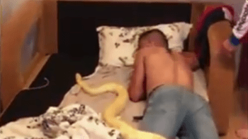 VIDEO: Hloupý youtuber strká do postele kamarádům krokodýly, hady a lvy! Vážně tohle někomu přijde vtipné?
