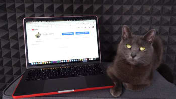 VIDEO: Sarkastická kočka ze Slovenska se stala hitem internetu! Čím taková blbina zaujala stovky tisíc lidí?