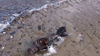 VIDEO: Na pláži v Británii se objevila mrtvá mořská panna! Jak je to možné?