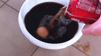 VIDEO: Co se stane s vajíčkem, které necháte rok naložené v Coca-Cole?