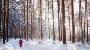 DOJEMNÝ PŘÍBĚH: 5letá holčička ušla kilometr po mrazivé Aljašce s bratříčkem v náručí. Jak to dokázala?