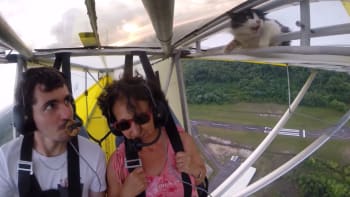 VIDEO: Fake, nebo ne? Koťátko na křídle se snaží přežít vyhlídkový let