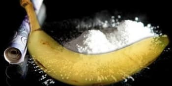 Tři tisíce kilo kokainu mezi banány. Celníci v Rotterdamu zabavili obří zásilku s drogami