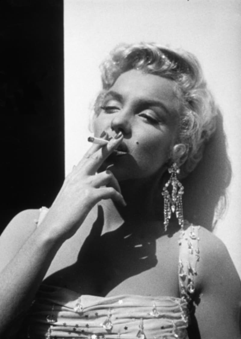 Marilyn Monroe (15)