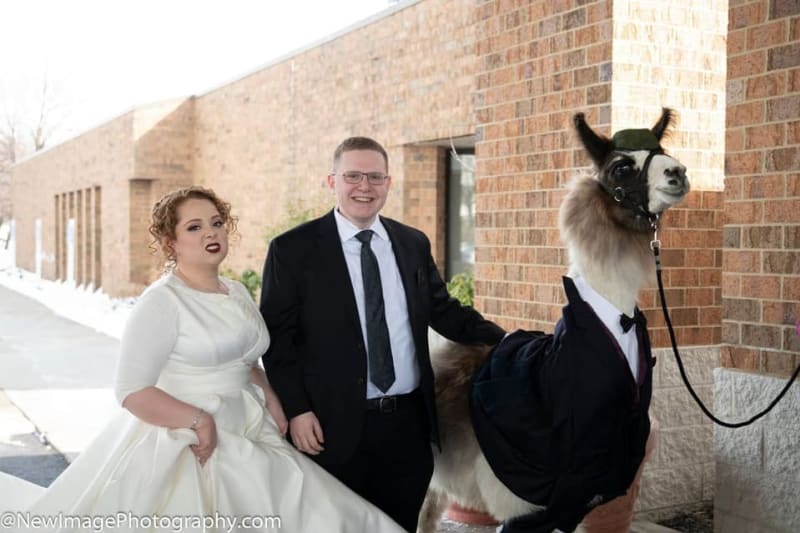 Muž si přivedl na svatbu své sestry lamu jako své plus jedna 2