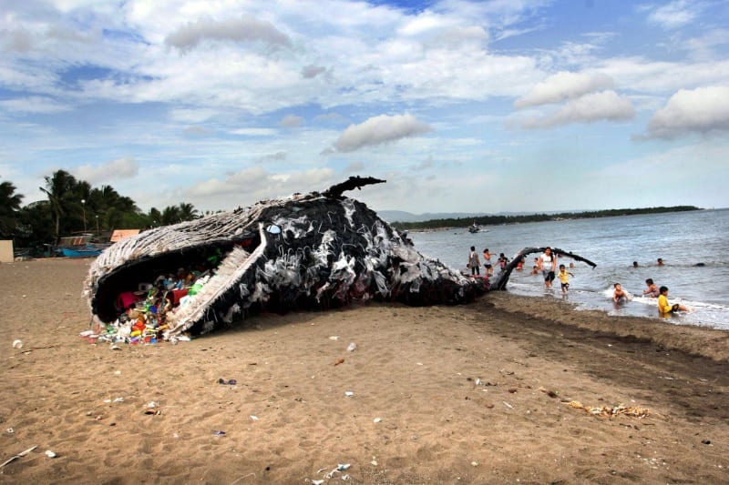 Mrtvá velryba plná plastu od Greenpeace