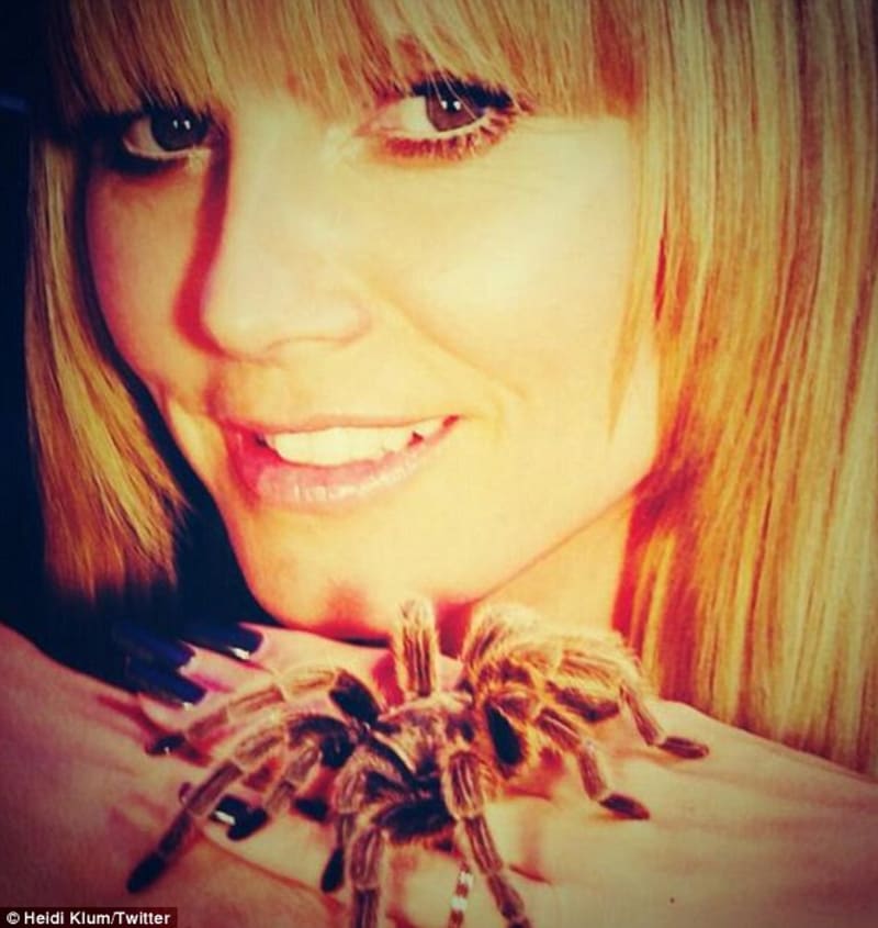 Top modelka se nebojí pavouku... asi jí nosí štestí...
