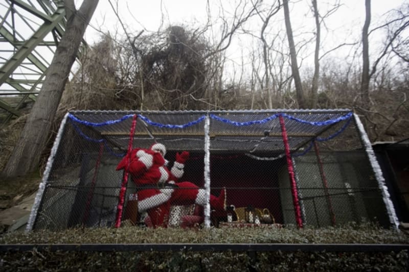 Pražská zoo vystavuje agresivního Santa Clause