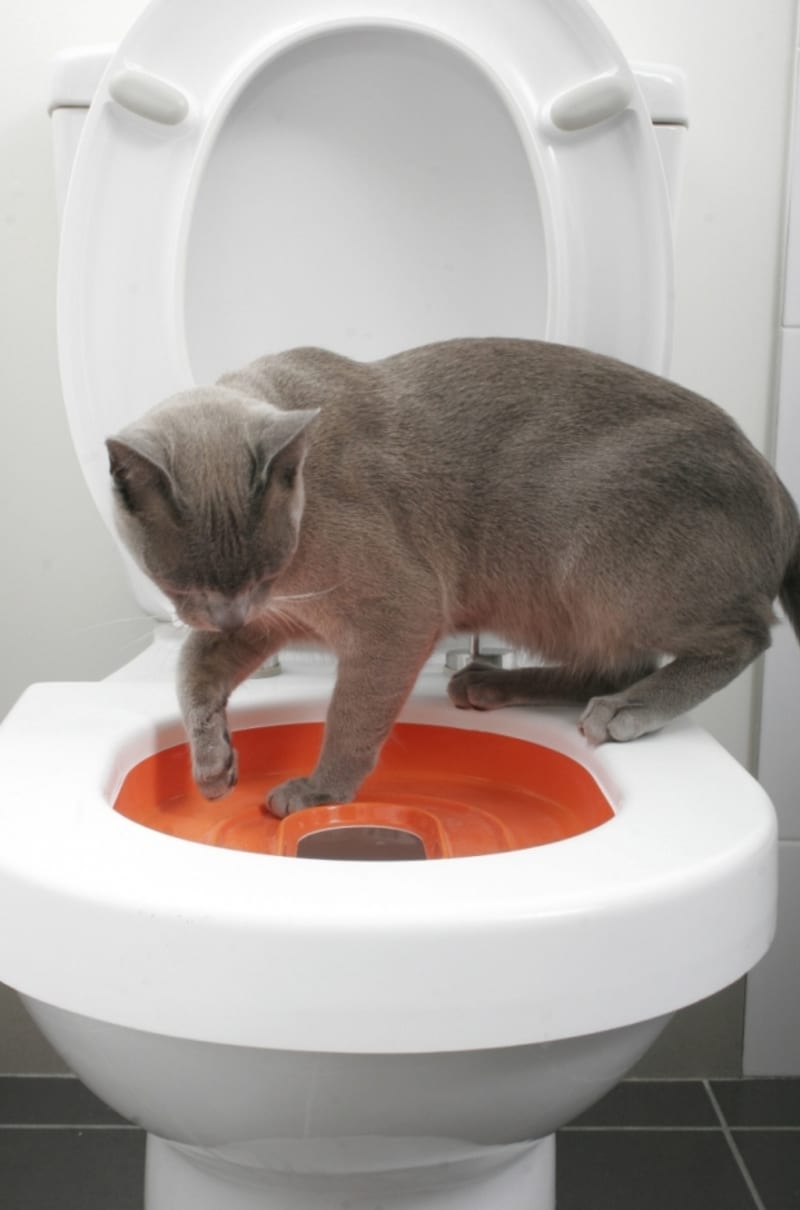 Praktický nástavec na sedátko toaletní mísy, který ulehčí používání záchodu kočkám domácím.