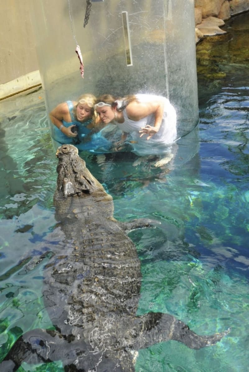 Potápění s krokodýlem