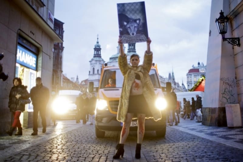 Protestní průvod proti kožešinám v Praze