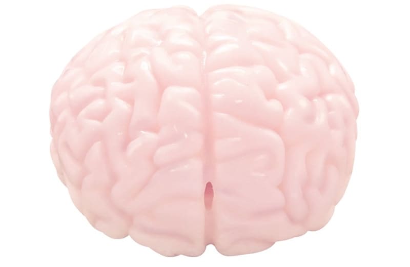 Sexuální hračka ve tvaru mozku. 4