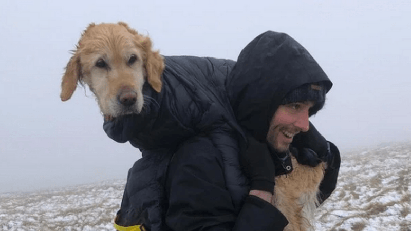 VIDEO: Pár zachránil mrznoucího ztraceného psa. Lidé je nahlásili za porušení opatření