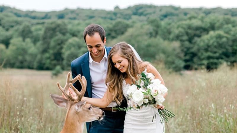 GALERIE: Svatební focení narušil jelen a vznikly z toho tyhle úžasné momentky. Nejsou tohle nejlepší fotky, co jste kdy viděli?