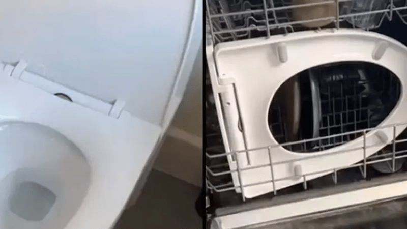 VIDEO: Influencerka šokovala své fanoušky. Strčila totiž záchodové prkýnko do myčky!